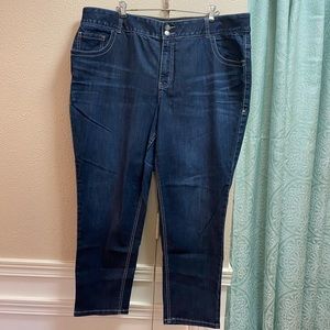 Lane Bryant T3 Skinny Jeans